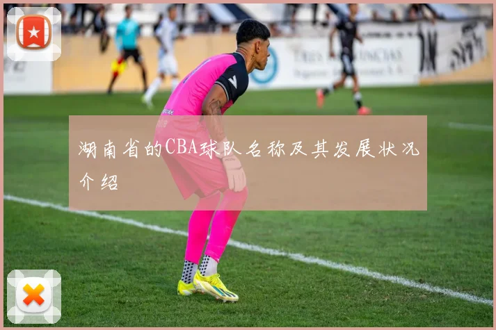 湖南省的CBA球队名称及其发展状况介绍