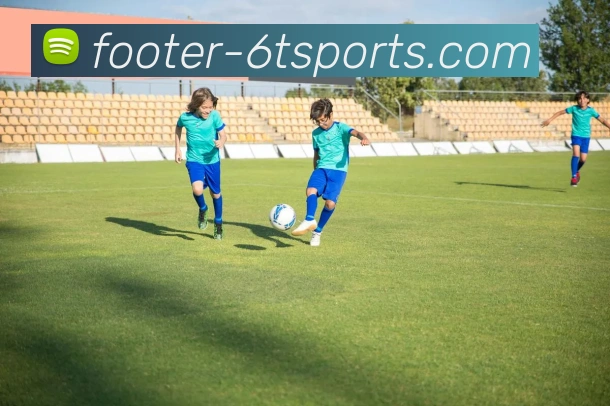 6T体育平台生态图